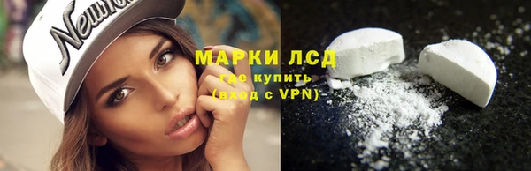 стафф Богородицк