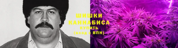 хмурый Богородск