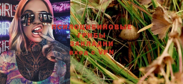 бошки Богданович