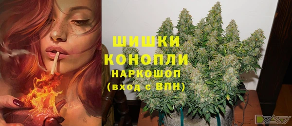 бошки Богданович