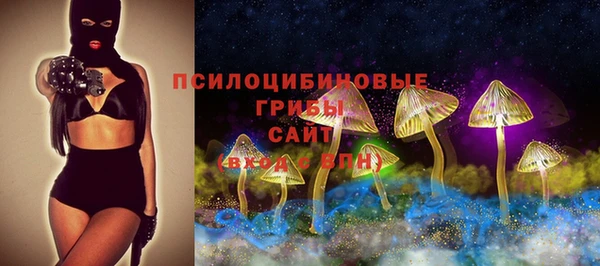 хмурый Богородск