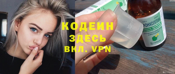 хмурый Богородск